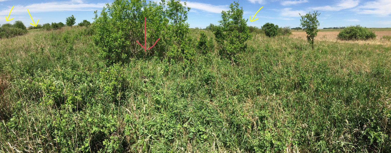 F49E16C7-975E-47DD-8F81-31A7649968DA