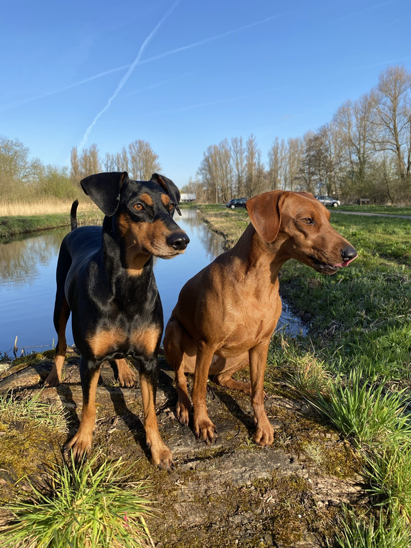 95600C4A-989F-4B4B-A899-1B9E84345647