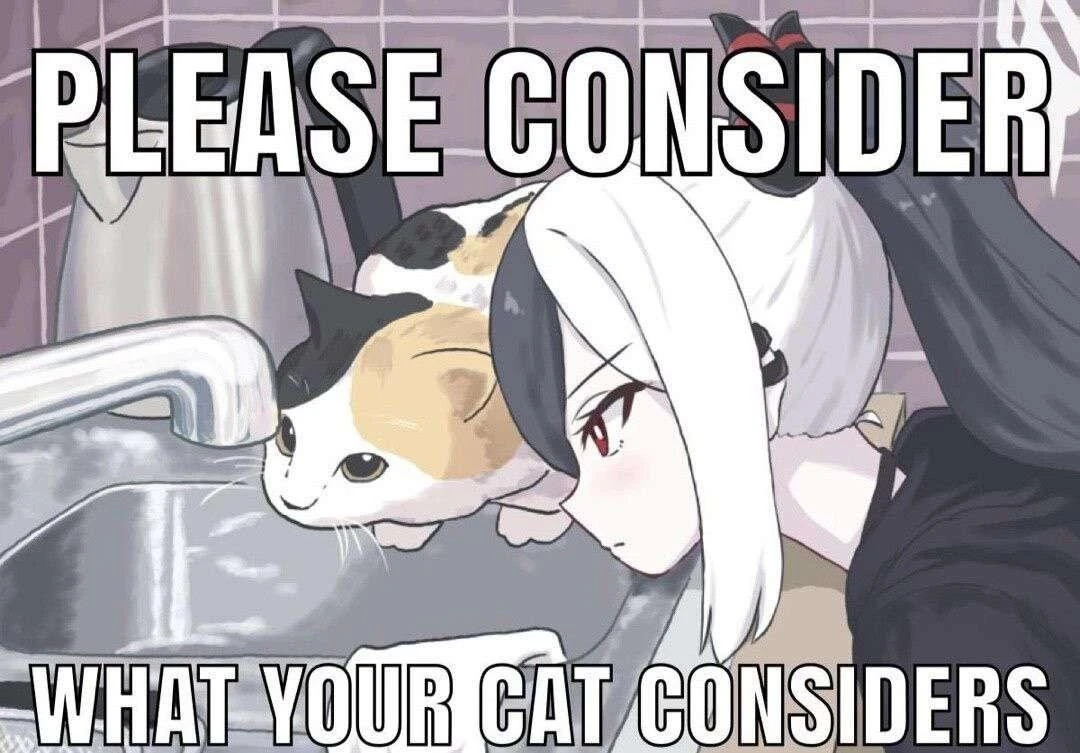 image macro featuring a Manga-style drawing of a young woman and a calico cat staring intently at a kitchen sink faucet with curiosity on their faces. Caption: "Please consider what your cat considers"