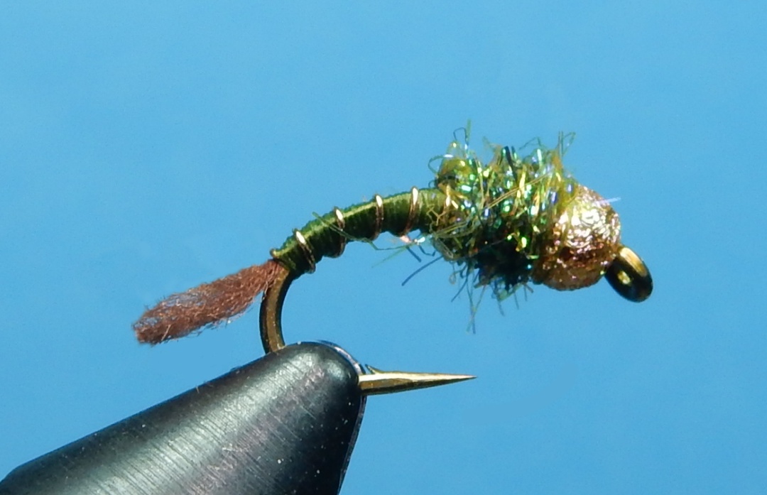 BWO-Killer-1080.jpg
