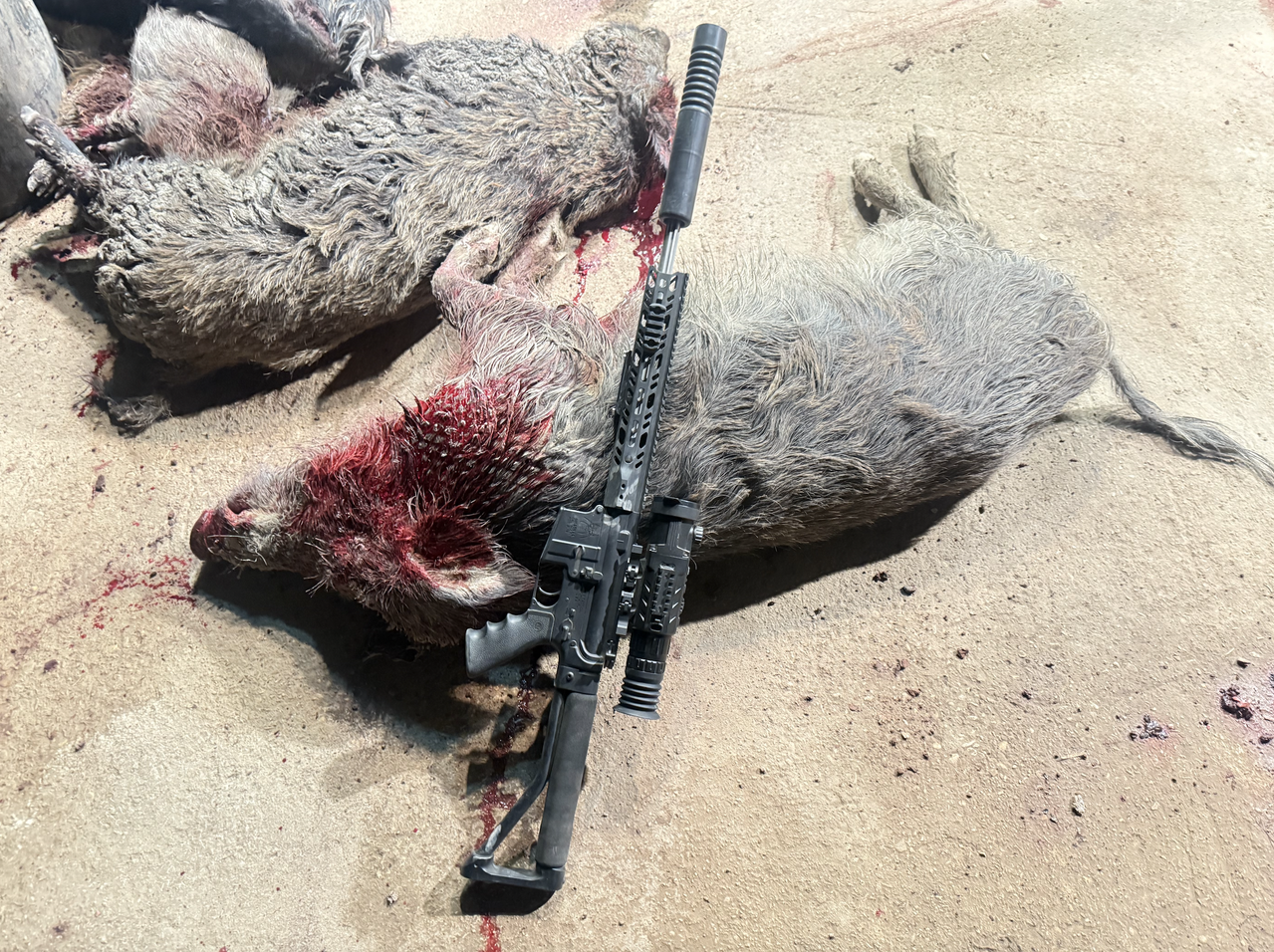 Screen Shot 2026 03 04 at 4 50 46 PM