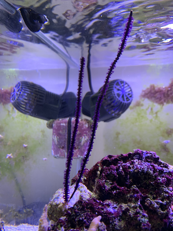 0B700DCF-986D-448F-9B55-BD8D85534E73