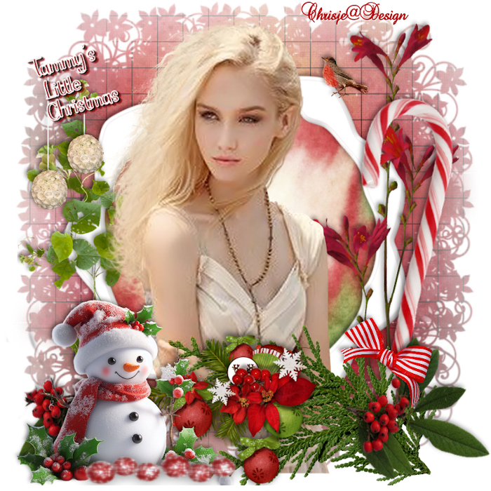 Image and video hosting by TiyPic