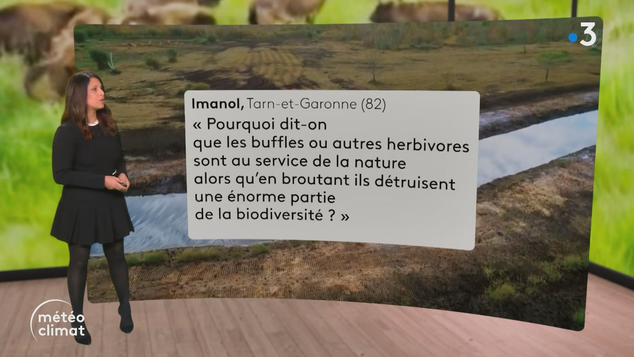 Journal Météo Climat - Journal Météo climat_France 3_2024_12_05_22_45.ts_snapshot_02.30.879