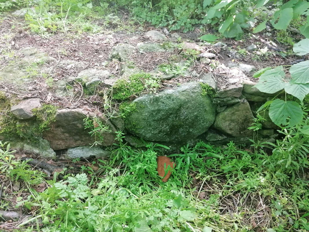 08.32 - IMG_20210603_145057 (Czesio1)