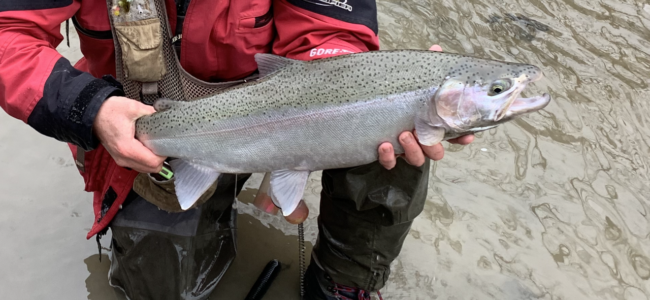 0DDF65C6-175B-451E-821C-DBFE22DC59FB