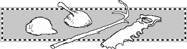 cowtools1