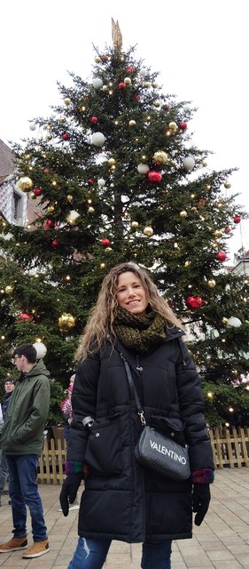 Viena - Bratislava - Praga, Navidad 2024 - Blogs de Europa Central - A Bratislava en tren y Palacio Belvedere. (10)