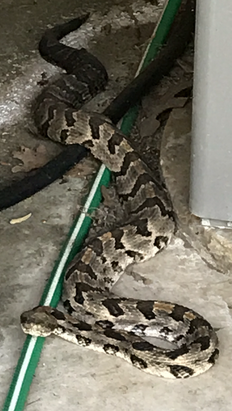 8492ABE8-A131-4735-A68B-31387CF91B3C