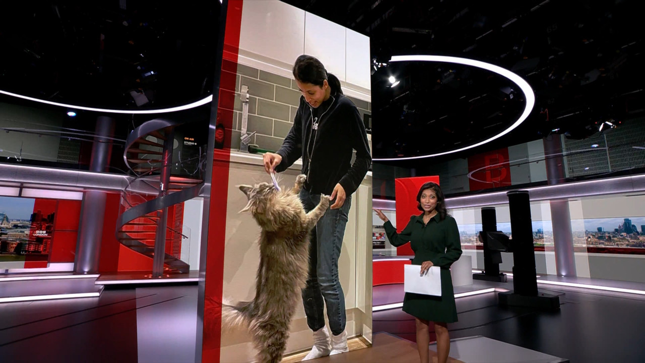 BBC London News_20230808_18301900.ts_snapshot_24.25.153
