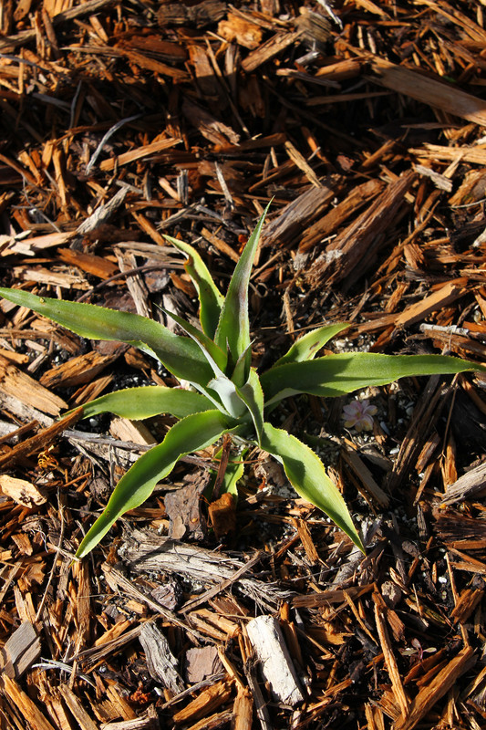 D78BBAD5-DBE6-4442-B050-2509503D5C09