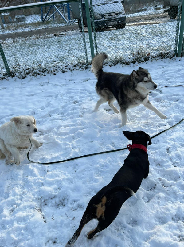 05B872D6-9D94-4171-95DF-EBDD7820A6F5