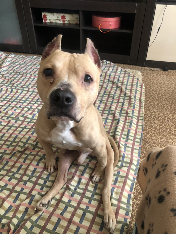 259BDCAA-19FF-46C3-8988-E200BBB55927