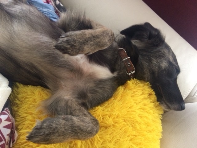 665860FE-D012-4E31-8EDE-7B765A3F86C0