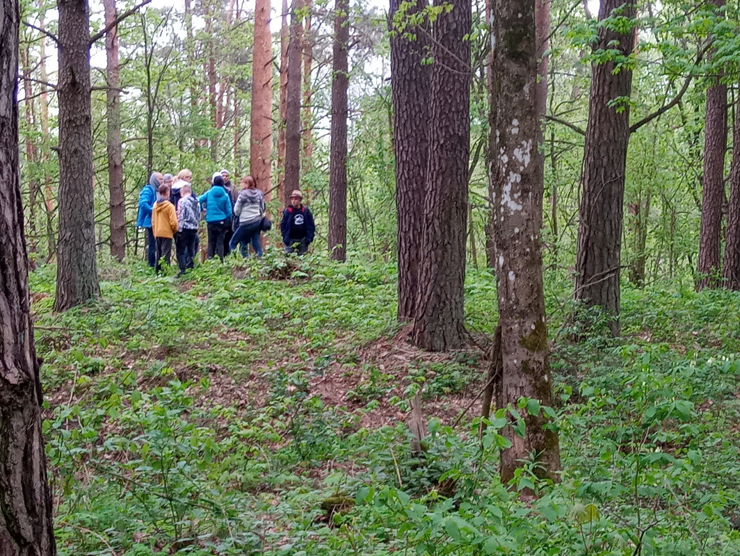 13.02 - 20190504_174737 (TomaszK)