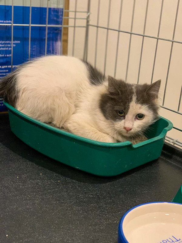 22D4CCD6-3449-44BB-B0BD-15F59BAC172B