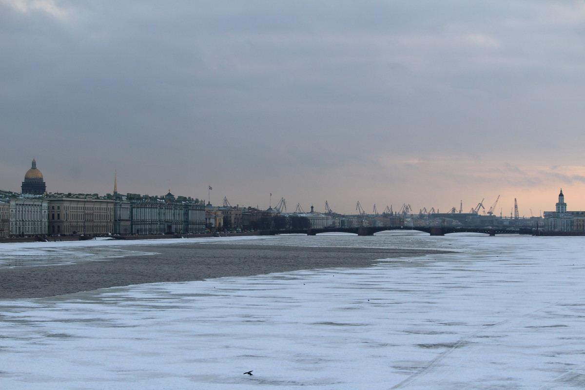 IMG_0037.jpg
