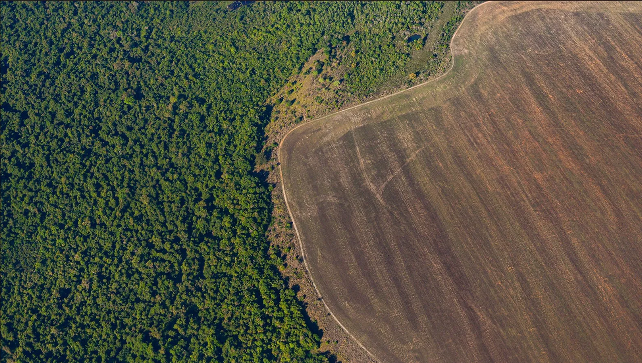 Humanos han degradado más de un tercio del Amazonas