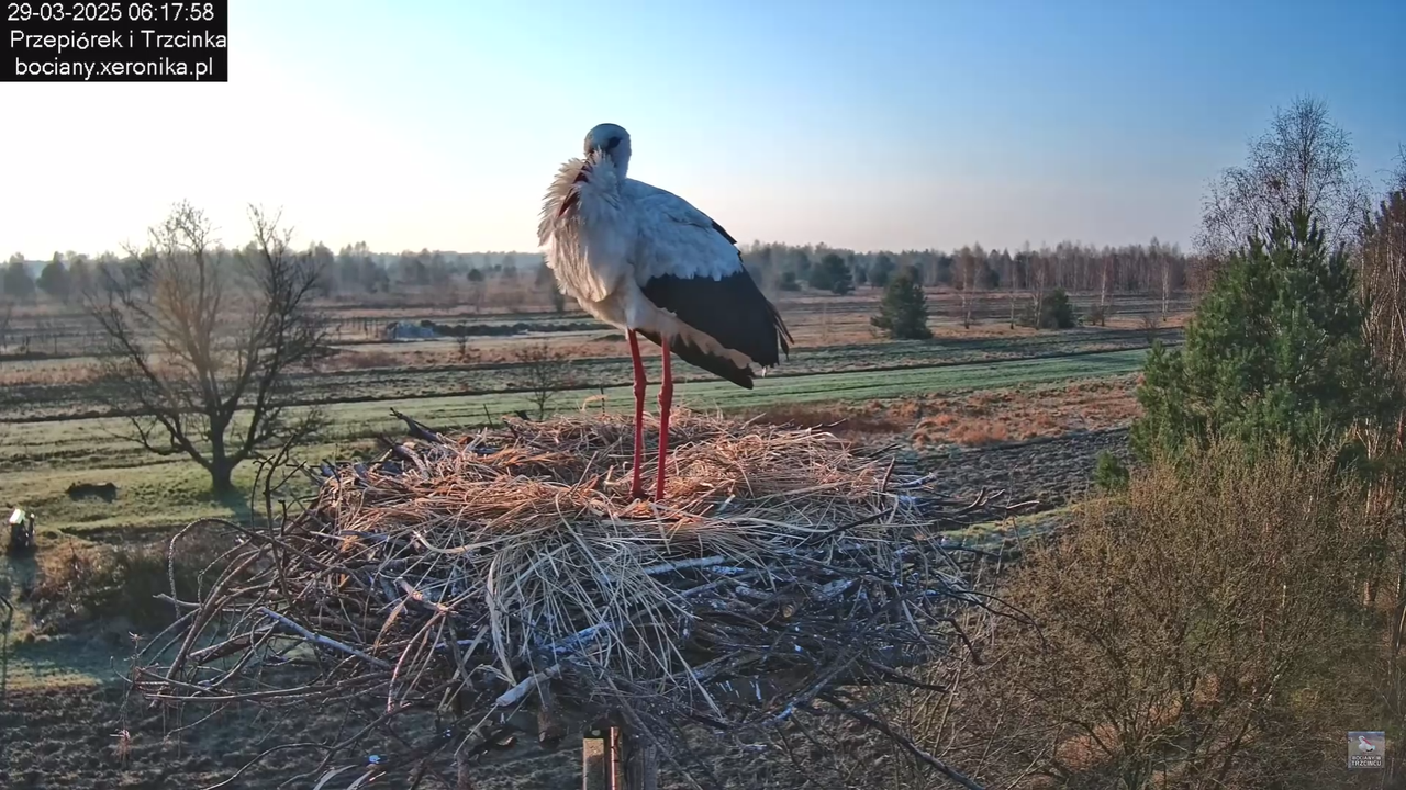 29032025porannezamieszanie_32