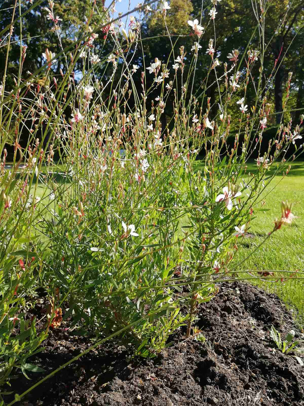 зображення_viber_2021-09-25_20-07-00-904