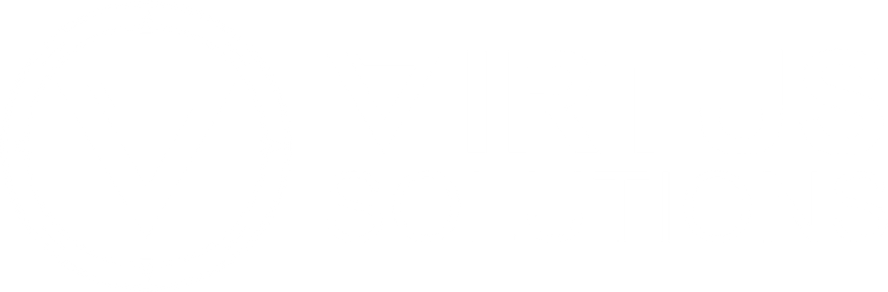 Virtus Solutions