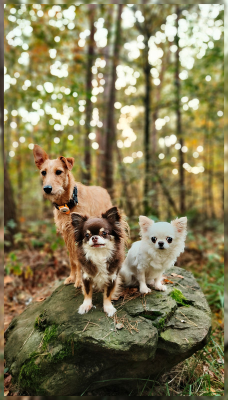 Lumii_20251019_161338397