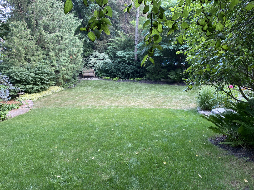 6605FA5D-09D1-409D-9F91-73D829D95D44