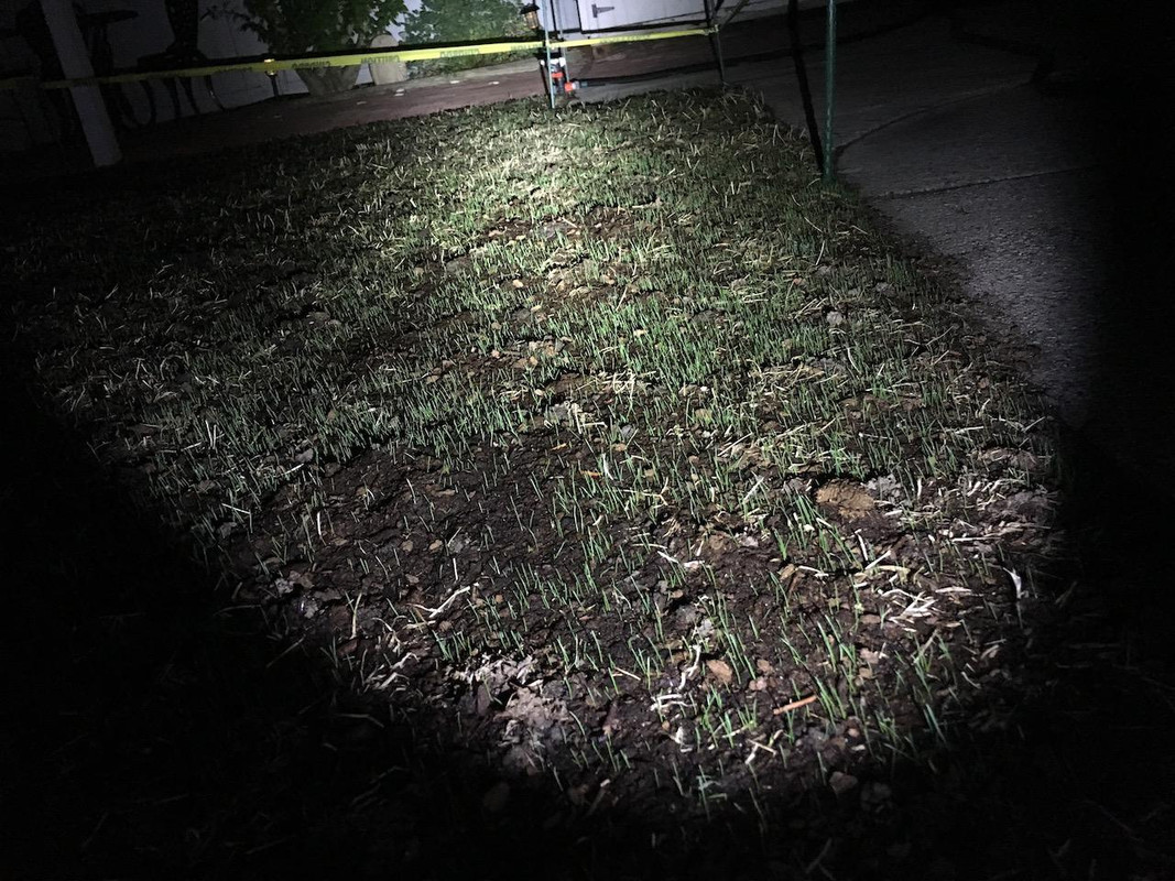 2017_Backyard_Reno_Day_8_3_small