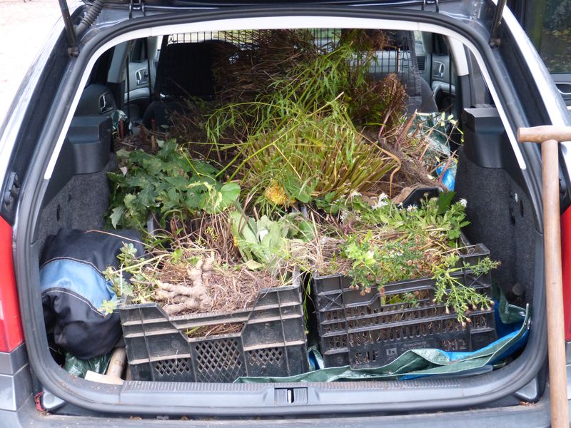 2014-10-30 Kofferraumbegrünung 2