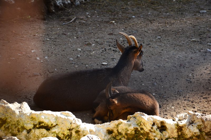 Atenas-18-11-2019 - Grecia y sus pueblos-2019 (149)