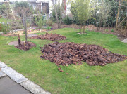 Bananen ausgepackt und Laub gemäht 2015 (1)