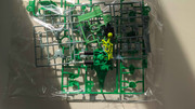 PXL-20250801-171324741.jpg