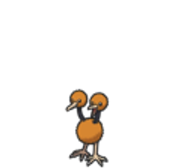 doduo