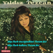 Yildiz-Tezcan-Kimsesizim