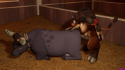 cow-on-cow2