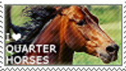 14b50407452e9e8db2776109e82930ff-d2neb1t.png