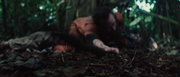 vlcsnap-2024-02-03-14h40m59s359.png