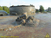 IMG-9341