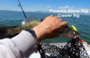 [Image: WALLEYE-6.jpg]