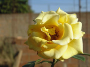 8.7.photogenic december baby VII