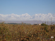 photo 13 2026 01 03 21 22 22