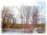 2141972240046342459EWNMmr_fs