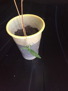 C3F4AF43-EC2C-4B52-B800-1524EF851800