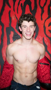 Shawn-Mendes-superficial-guys-149