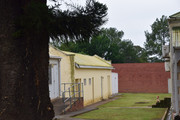 DSC-0053