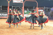 DSC-5195