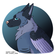 export202409072031556107