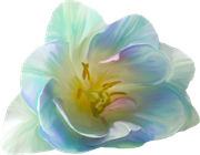LMB-Spring-Melody-Element-7