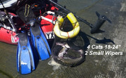 [Image: CATCH.jpg]