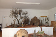 IMG-2598